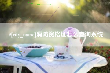 宁阳消防资格证怎么查询系统