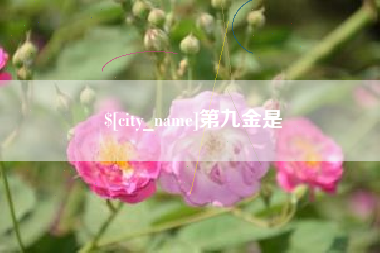 宁阳第九金是