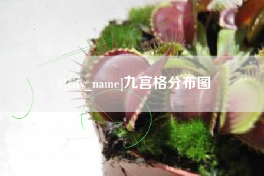宁阳九宫格分布图