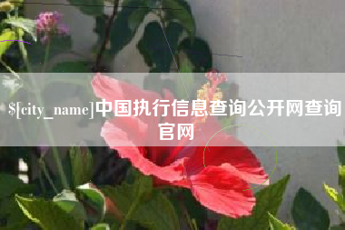 宁阳中国执行信息查询公开网查询官网