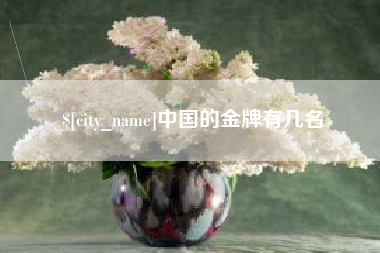 宁阳中国的金牌有几名