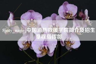 宁阳中国消防救援学院简介及招生章程指挥部
