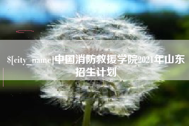 宁阳中国消防救援学院2021年山东招生计划