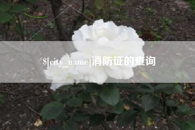 宁阳消防证的查询