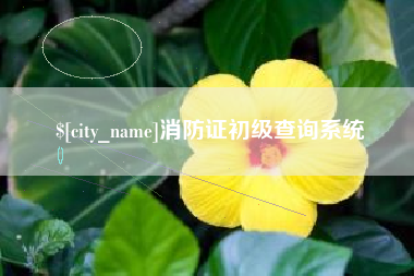 宁阳消防证初级查询系统