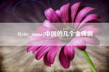 宁阳中国的几个金牌啊