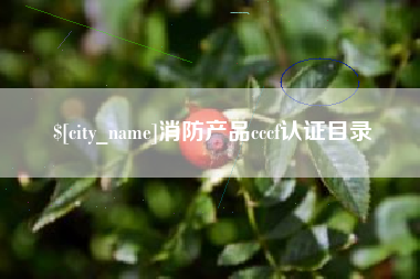 宁阳消防产品cccf认证目录