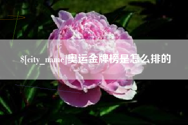 宁阳奥运金牌榜是怎么排的