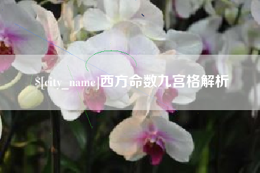 宁阳西方命数九宫格解析