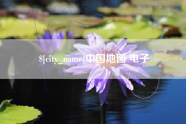 宁阳中国地图 电子