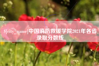宁阳中国消防救援学院2021年各省录取分数线