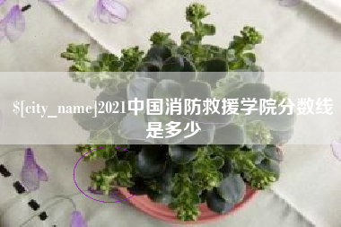 宁阳2021中国消防救援学院分数线是多少