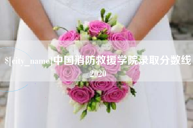 宁阳中国消防救援学院录取分数线2020