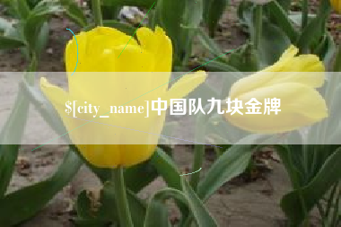宁阳中国队九块金牌