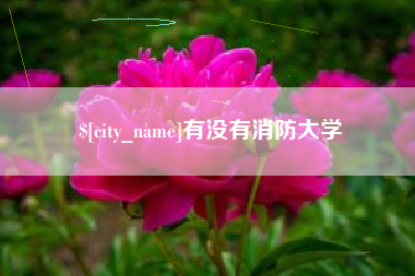 宁阳有没有消防大学