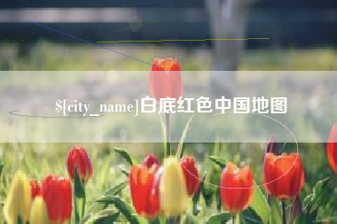 宁阳白底红色中国地图