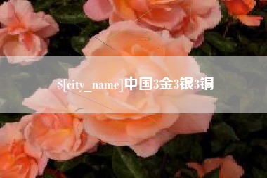宁阳中国3金3银3铜
