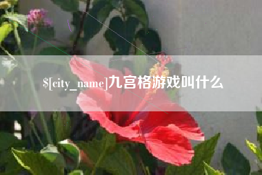 宁阳九宫格游戏叫什么
