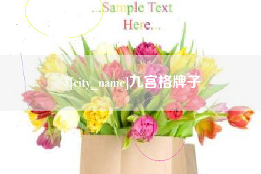 宁阳九宫格牌子