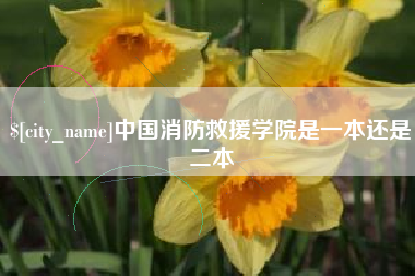宁阳中国消防救援学院是一本还是二本
