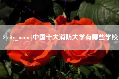 宁阳中国十大消防大学有哪些学校