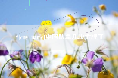 宁阳中国队拿几块金牌了