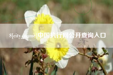 宁阳中国执行网公开查询入口