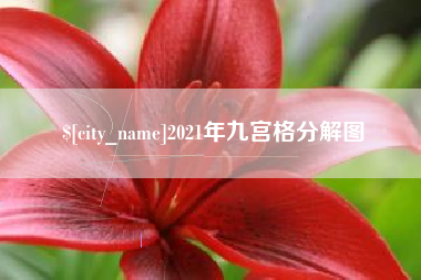 宁阳2021年九宫格分解图
