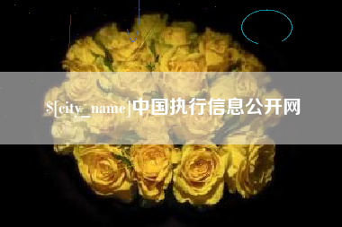 宁阳中国执行信息公开网