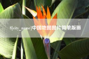 宁阳中国地图图片简单版画