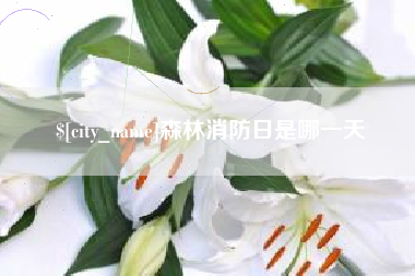 宁阳森林消防日是哪一天