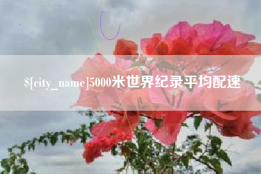 宁阳5000米世界纪录平均配速
