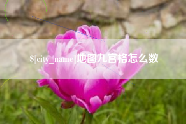 宁阳地图九宫格怎么数