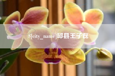宁阳邱县王子磊