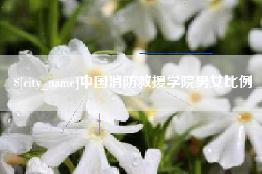 宁阳中国消防救援学院男女比例