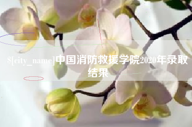 宁阳中国消防救援学院2020年录取结果