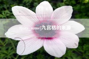 宁阳九宫格的来源