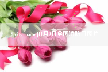宁阳11月9日全国消防日图片