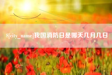 宁阳我国消防日是哪天几月几日