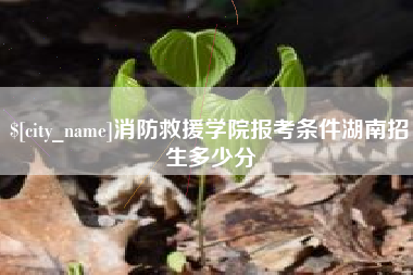 宁阳消防救援学院报考条件湖南招生多少分