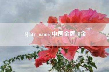 宁阳中国金牌18金