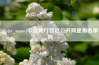 宁阳中国执行信息公开网是黑名单吗