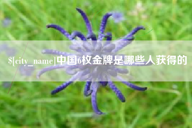 宁阳中国6枚金牌是哪些人获得的
