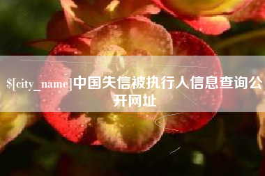 宁阳中国失信被执行人信息查询公开网址