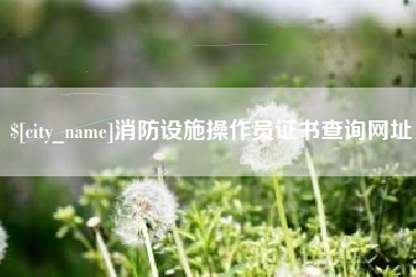 宁阳消防设施操作员证书查询网址