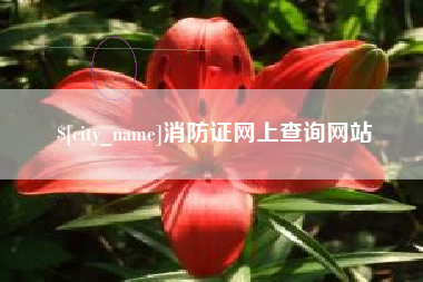 宁阳消防证网上查询网站