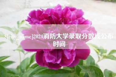 宁阳2024消防大学录取分数线公布时间