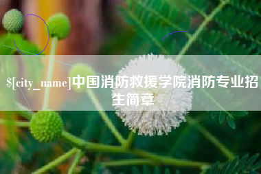 宁阳中国消防救援学院消防专业招生简章