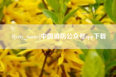 宁阳中国消防公众号app下载