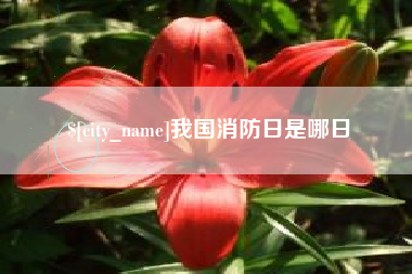 宁阳我国消防日是哪日